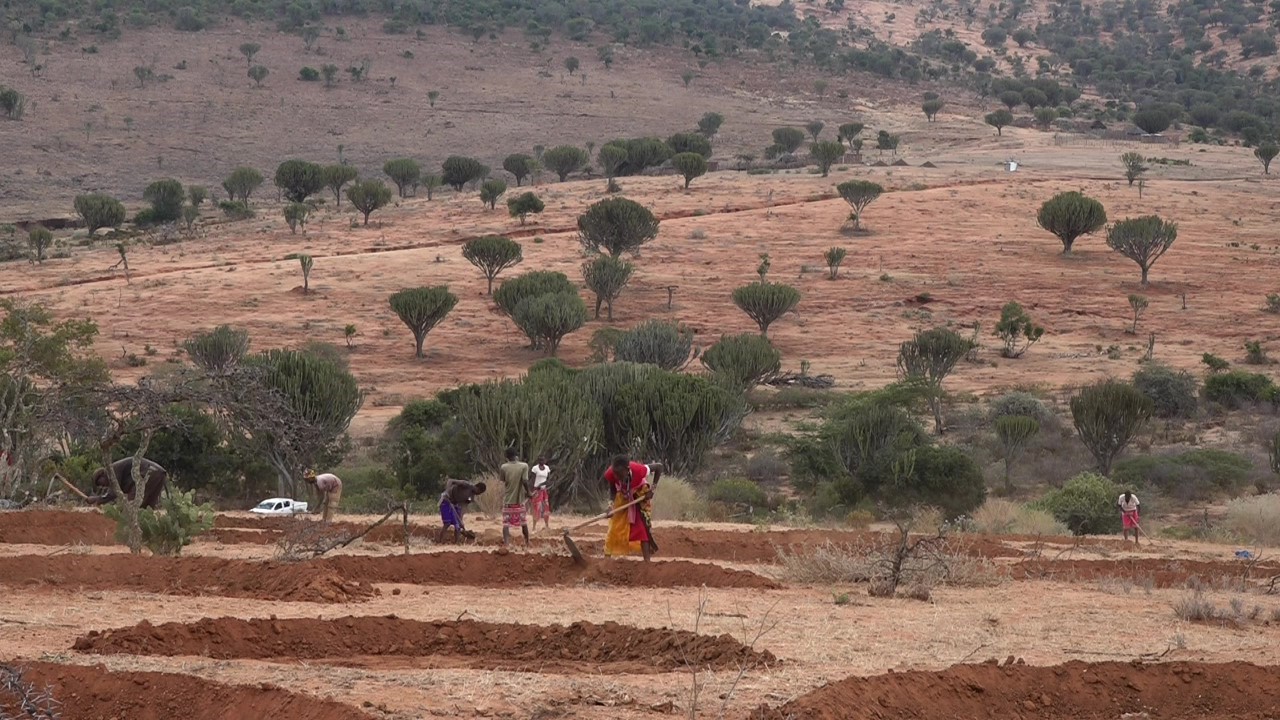 Climate Change Adaptation